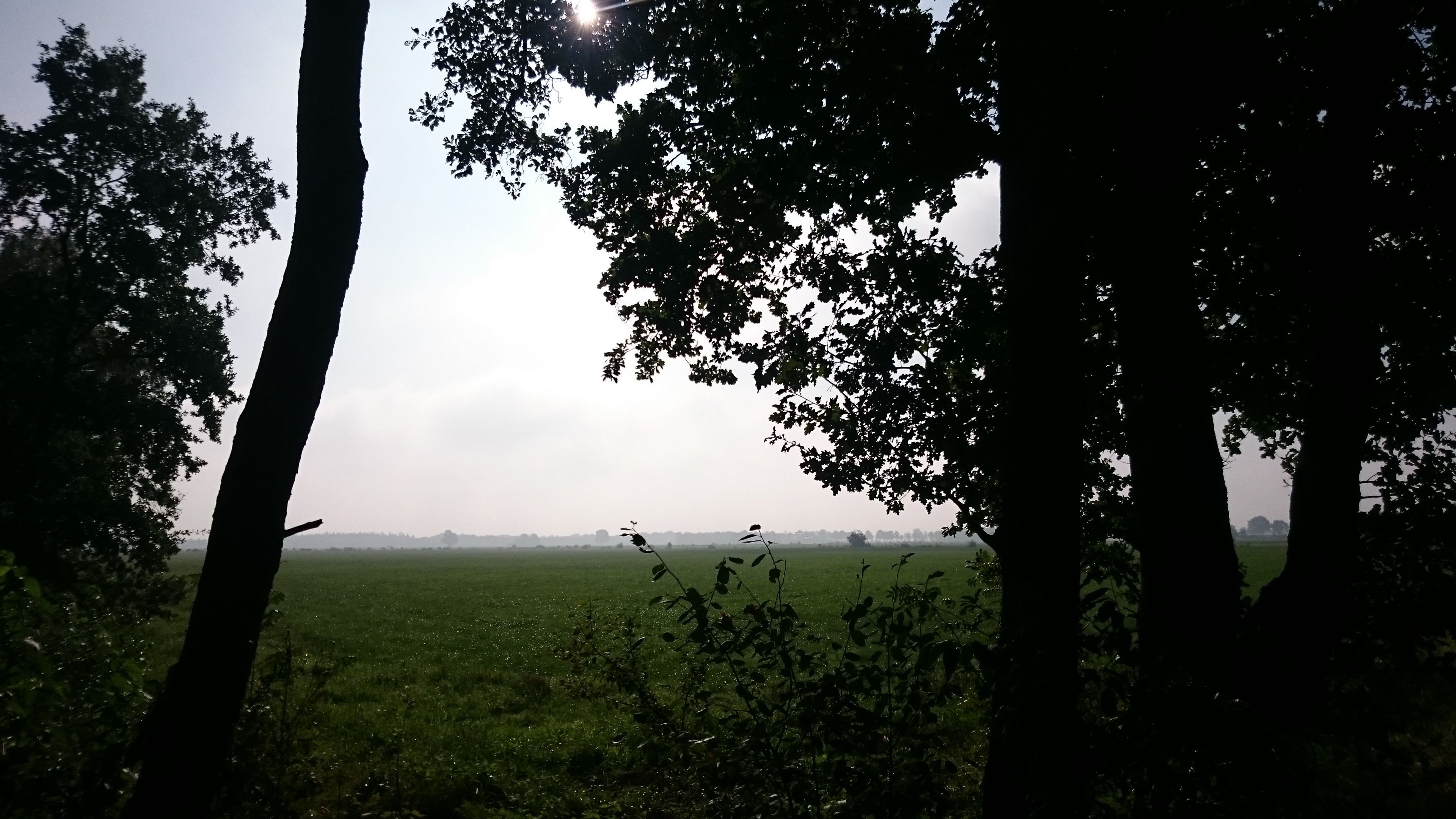 DSC_0580.jpg